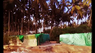 شلة الشيخ فرج   والنوبي دندنها