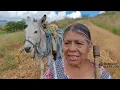 My daughter got into an accident, she fell from a building | Aunt Rosa and Uncle Álvaro.