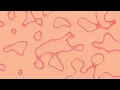 Animated Pattern Overlay Background