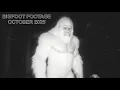 Download Lagu All of the Best New Bigfoot Footage in One Video! *CLEAR VIDEOS*