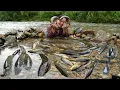 Download Lagu Unexpectedly Encountering a of Fish Upstream After a Storm, Harvest and Bring to Market to Sell.