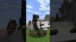 Pandas In Minecraft 
