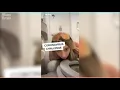 Ava louise la modelo lame un asiento de un inodoro
