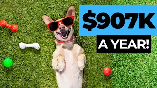 How to Start a Pet Boarding Business 907K a Year
