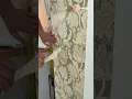 Transform Your Walls with This Simple Idea