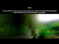 A HFY Story : Just a spark |  2011~ Deathworld, War, Terran & Humans