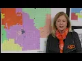What are the duties of a county assessor