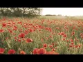 Each Day - Alex Baker & Harmless Night