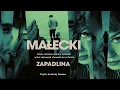 Zapadlina Autor Robert Małecki Lektor Przemysław Bluszcz Kryminały po Polsku AudioBook PL