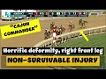 Cajun Commander KILLED AT AQUEDUCT 11 12 22