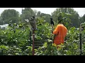 Inmates learn gardening through Benton County Jail program
