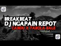Download Lagu DJ NGAPAIN REPOT X CANDU X TABOLA BALE    DUGEM ONLINE PALING ENAK DI DUNIA 2025