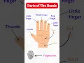 Download Lagu Learn the Parts of the Hand in English | Finger Names Explained