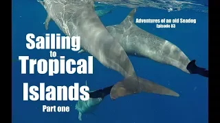Sailing to tropical islands. pt1.  Adventures of an old Seadog, ep83