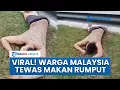 Download Lagu Viral Video Seorang Pria Misterius di Malaysia Meninggal seusai Memakan Rumput di Pinggir Jalan MP3