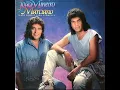 João Mineiro e  Marciano - Viola Está Chorando 1990