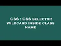CSS CSS selector wildcard inside class name