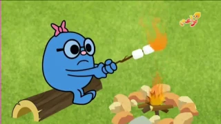 براعم مستر مان شو التخييم 