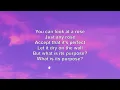 Nathaniel Rateliff & Gregory Alan Isakov- Flowers Lyrics