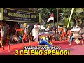 Download Lagu Tari Perang Celeng Srenggi MANGGOLO CAHYO MUDO Live Rembang Ngadiluwih Kediri 2022