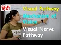 Pathway of Vision in Hindi Visual Nerve Pathway Mechanism of Vision
