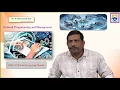 TCP Echo Server using Threads by Dr D Mohammad Rafi