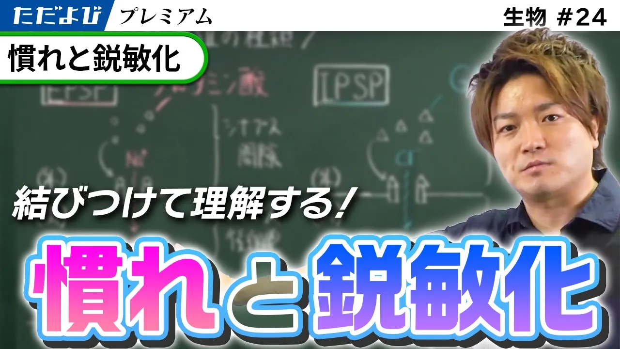 【生物】慣れと鋭敏化
