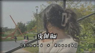Ek Dil Hai - lofi Music | Ek Rishta | Ek Rishta Movie |#hindisong #ekdilhai #alkayagnik #bollywood