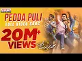 Download Lagu Pedda Puli Full Video Song | Chal Mohan Ranga | Nithiin,  Megha Akash | Thaman S | Telugu Mass Songs