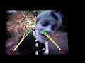 Angus Maude - Dunbar (Official Video)