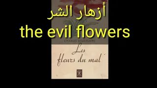 أزهار الشر   بودلير دندنها