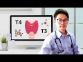 Guide to Interpret Thyroid Function Tests Case scenario