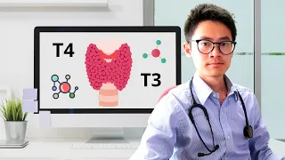 Guide to Interpret Thyroid Function Tests Case scenario