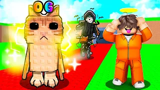 ربلوكس التحديث الجديد والog الجديد ! Steal A Brainrot