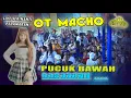 Download Lagu UMEP ... ❗  OT MACHO LIVE SERINANTI PEDAMARAN OKI