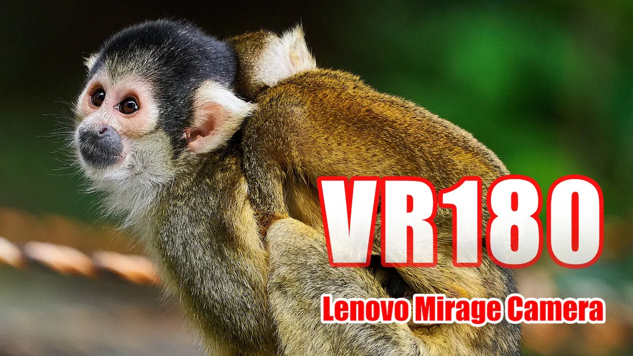 [VR180]日本モンキーセンター  リスザルの島 VR [Mirage Solo Camera]
