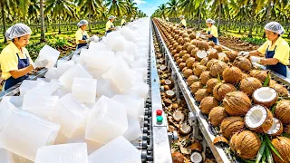 Inside the Coconut Factory | From Fresh Coconuts to Jelly & Candy