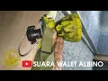 Download Lagu TEHNIK PEMASANGAN SUARA TARIK YG PAS DI PINTU MASUK RUANGAN DGN MENGGUNAKAN SENTER