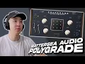 Battersea Polygrade Beatmaking Presets Review