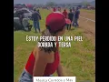 (LETRA) Mi Potra - Grupo Laberinto