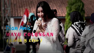 Download DIAN ANIC - WAYU COLONGAN (Lirik \u0026 Live Musik) MP3