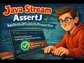 Java Stream AssertJ hasNoNullFieldsOrProperties