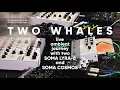 Download Lagu Two Whales - Scuba Diving (live ambient journey with two SOMA LYRA-8 and SOMA COSMOS)