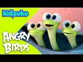 Download Lagu 🐍 Snake Encounters with the Hatchlings 🐥 | 🌕 Lunar New Year 🧧 | Angry Birds | Compilation | @Kidzuko