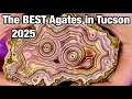 The very BEST Agate in Tucson 2025 - Agates from Mexico Agate Bay The Gem Shop