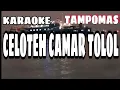 Download Lagu TAMPOMAS  KARAOKE  CELOTEH CAMAR TOLOL  BY.IWAN FALS