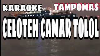 Download TAMPOMAS  KARAOKE  CELOTEH CAMAR TOLOL  BY.IWAN FALS MP3