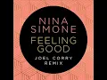 NINA SIMONE - Feeling Good (Joel Corry Remix) [2021]
