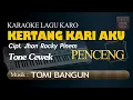 Download Lagu Karaoke Lagu Karo  Kertang Kari Aku Musik Penceng Tone Cewek
