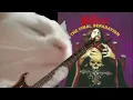 Download Lagu Bulldozer - Ride Hard Die Fast  [EL GATO METALERO]